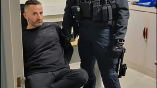 Un "peligroso" capo de la mafia italiana y su brazo derecho, detenidos en Francia y Espa&ntilde;a