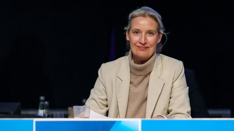 Afd, la decisione della Corte tedesca una vittoria per la democrazia