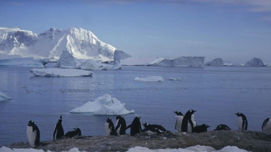 Antartide occidentale, dallo scioglimento dei ghiacci mari pi&ugrave; alti di 5 metri