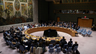 Vote à l'ONU: Israël salue le plan Trump pour Gaza, le Hamas s'oppose à une force internationale