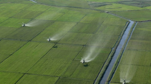El l&iacute;der norcoreano visita plantaciones golpeadas por un tif&oacute;n en un contexto de escasez