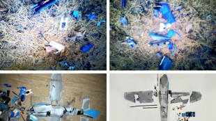 Regrets de S&eacute;oul sur l'envoi drones en Cor&eacute;e du Nord: une "sage d&eacute;cision", dit la soeur de Kim