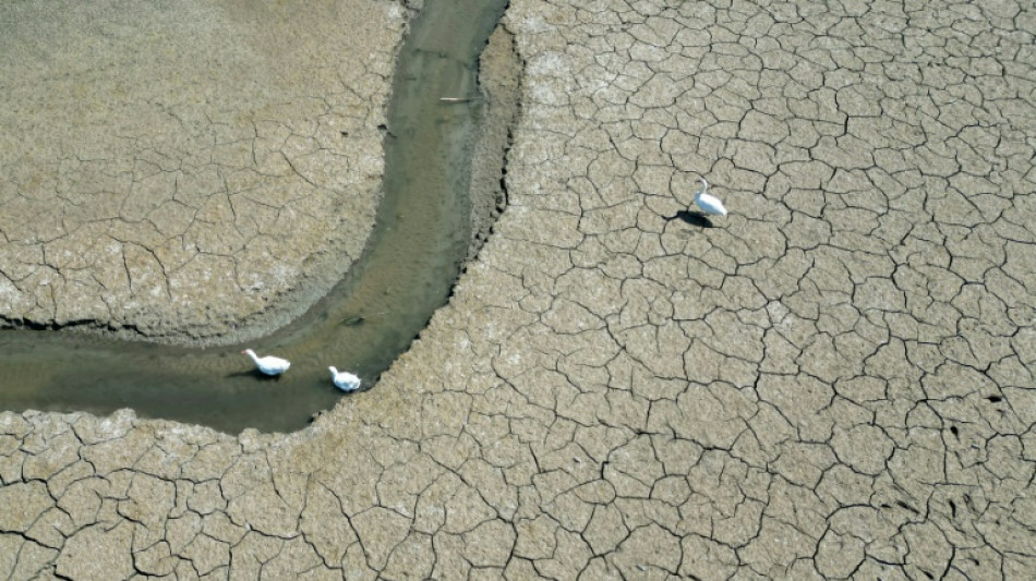 2025 on track to tie second hottest year on record: EU monitor