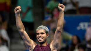 'Duck' Alcaraz and 'Cow' Federer: China tennis fans delight in nicknames