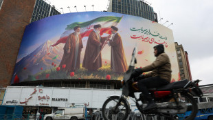 Iran, '30 arresti con l'accusa di spionaggio tra cui uno straniero'