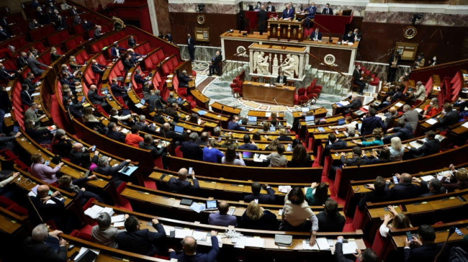 Le Parlement adopte l'allongement du d&eacute;lai de l'IVG