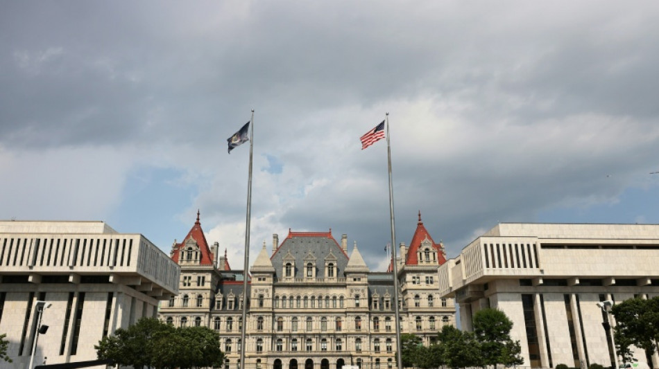US charges woman with IS-inspired plot to blow up New York State Capitol