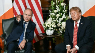 Trump says Irish unification would be 'fantastic'