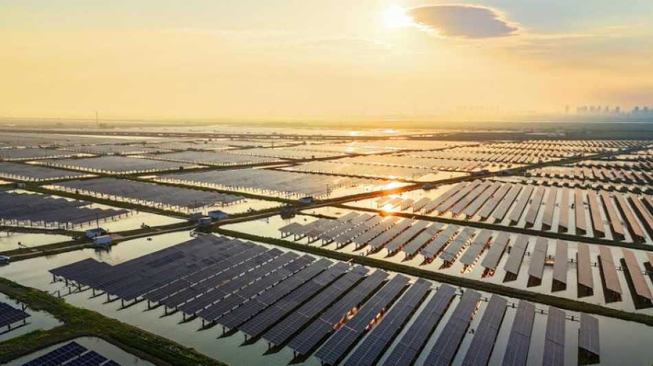 Australien genehmigt Bau von "gr&ouml;&szlig;tem Solarpark der Welt"
