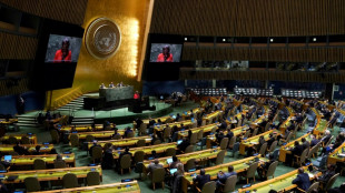 Ukraine: appels multiples &agrave; l'arr&ecirc;t des combats &agrave; l'ONU lors d'une s&eacute;ance extraordinaire