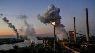 Bundesregierung wegen Reformen vor Sommerpause in Zeitdruck