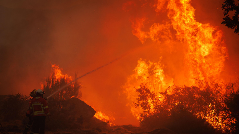 Iss, 700 incendi nei primi 7 mesi del 2025
