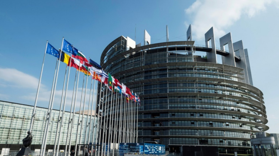 Les eurod&eacute;put&eacute;s adoptent une l&eacute;gislation in&eacute;dite sur la libert&eacute; des m&eacute;dias