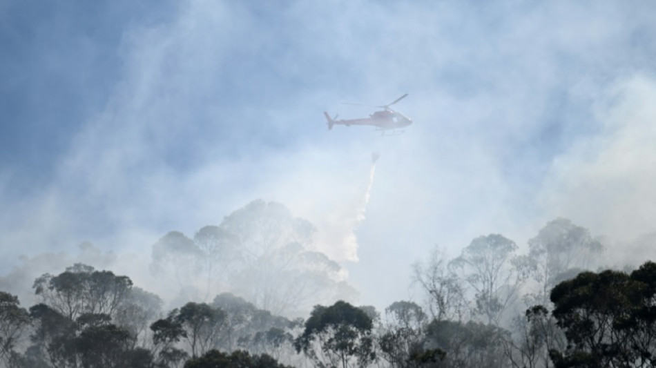 Suben a 21 los incendios forestales en Colombia en medio de r&eacute;cords de calor
