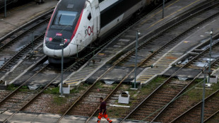 La ligne &agrave; grande vitesse entre Paris et l'Est de la France interrompue, nombreux retards pour les TGV