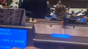 In arrivo censura per il video del voto sulle preferenze dei vannacciani
