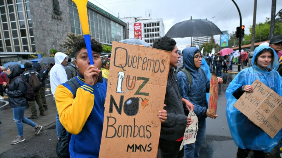 Ecuador demanda a una firma de EEUU por un millonario fraude durante la crisis el&eacute;ctrica