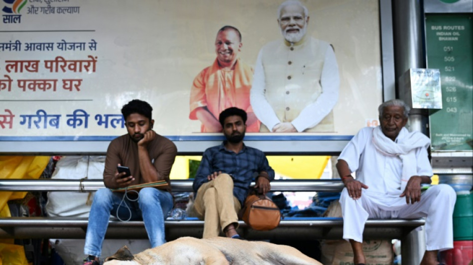 New Delhi to hide street dogs ahead of G20 summit