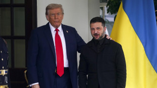 Zelensky a Trump,se fermi guerra a Gaza puoi fermare Mosca