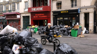 Des &eacute;boueurs toujours en gr&egrave;ve, 5.400 t de d&eacute;chets non ramass&eacute;es &agrave; Paris