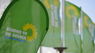 Gr&uuml;ne wollen 2023 zum Jahr des Klimaschutzes machen
