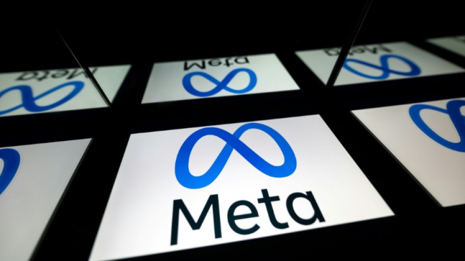 Norway court rejects Meta bid to defer ban