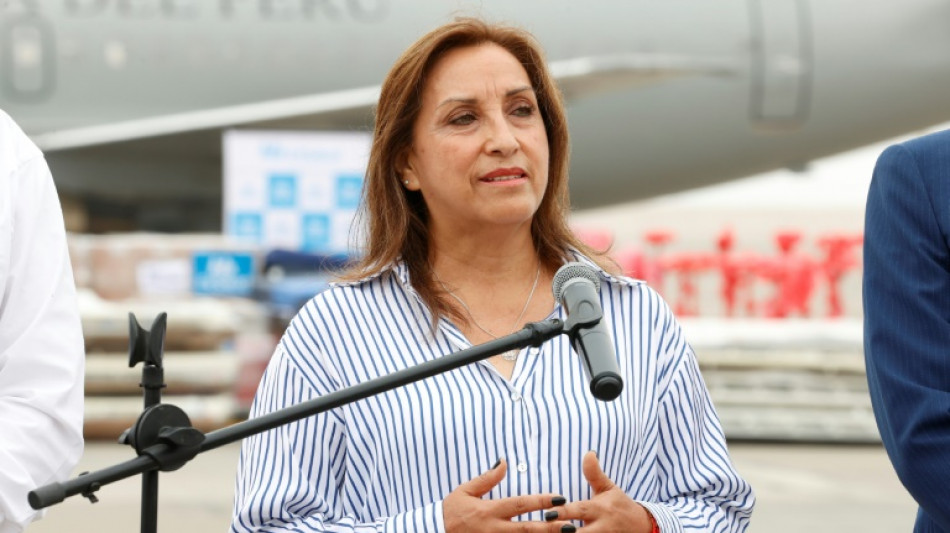 P&eacute;rou: la pr&eacute;sidente demande des &eacute;lections anticip&eacute;es pour sortir du "bourbier"