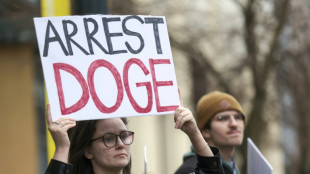 Wei&szlig;es Haus: Musk ist nicht Chef der Doge-Abteilung