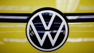VW-Konzernchef Blume verteidigt Sparkurs - Linke will Dividenden-R&uuml;ckzahlung