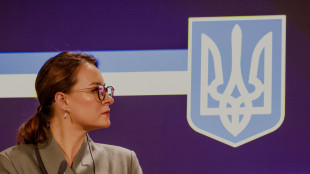 Premier ucraina,farò un audit su appalti aziende pubbliche