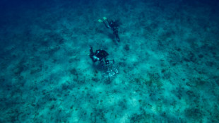 En Guadeloupe, l'exp&eacute;dition Under the Pole explore la vie des grandes profondeurs