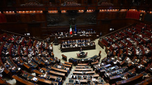 Prime stime Dpfp, +0,5% Pil tendenziale 2025,+0,6% il 2026