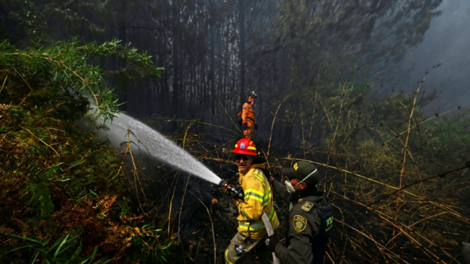 Colombia en alerta por una veintena de incendios forestales en medio de un r&eacute;cord de calor