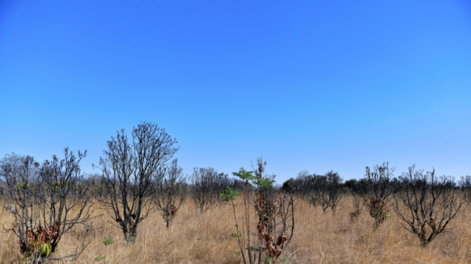 Le Zimbabwe redistribue des terres abandonn&eacute;es par les fermiers noirs