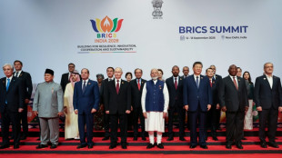 La cumbre de los BRICS discute la promoci&oacute;n de un crecimiento econ&oacute;mico inclusivo