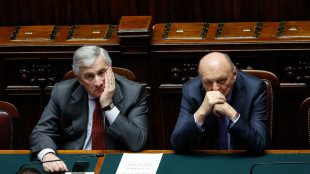 Riunione di FI con Tajani e Pichetto, 'massimo sforzo sul decreto energia'