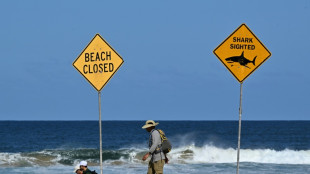 Un tiburón mata a una mujer y hiere gravemente a un hombre en Australia