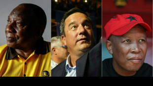 Presidente de Sud&aacute;frica llama a la unidad tras perder mayor&iacute;a en el Parlamento