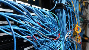 Aufw&auml;rtstrend in Digitalbranche setzt sich fort