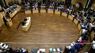 El Parlamento alemán aprueba definitivamente el plan masivo de inversiones