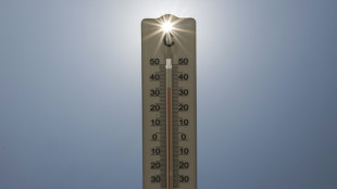 Canicule en France: d&eacute;j&agrave; 7.300 morts en exc&egrave;s recens&eacute;es cette ann&eacute;e, selon un bilan provisoire