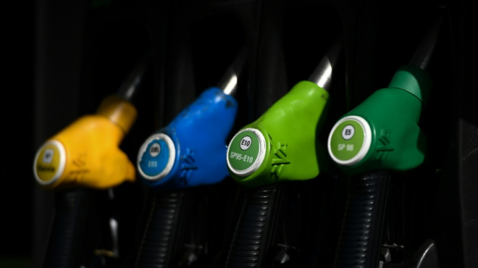 Carburants: l'ex&eacute;cutif "mobilise" les distributeurs pour qu'ils r&eacute;duisent leurs marges