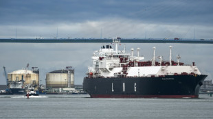 L'interdiction des achats de gaz russe dans l'UE franchit une étape clé