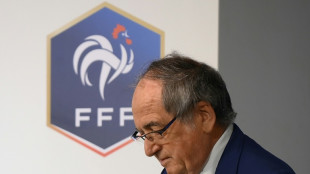 Foot: No&euml;l Le Gra&euml;t, l'habile politique &agrave; l'image ab&icirc;m&eacute;e