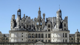 A Chambord, des jardins fragilis&eacute;s par la s&eacute;cheresse et &agrave; r&eacute;inventer