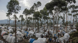 R&eacute;bellion du M23 en RDC: fuite sans fin et vie intenable