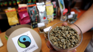 Umsatzrekord f&uuml;r Fairtrade-Produkte 