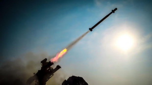 Emirati, una vittima nell'attacco dell'Iran a Abu Dhabi