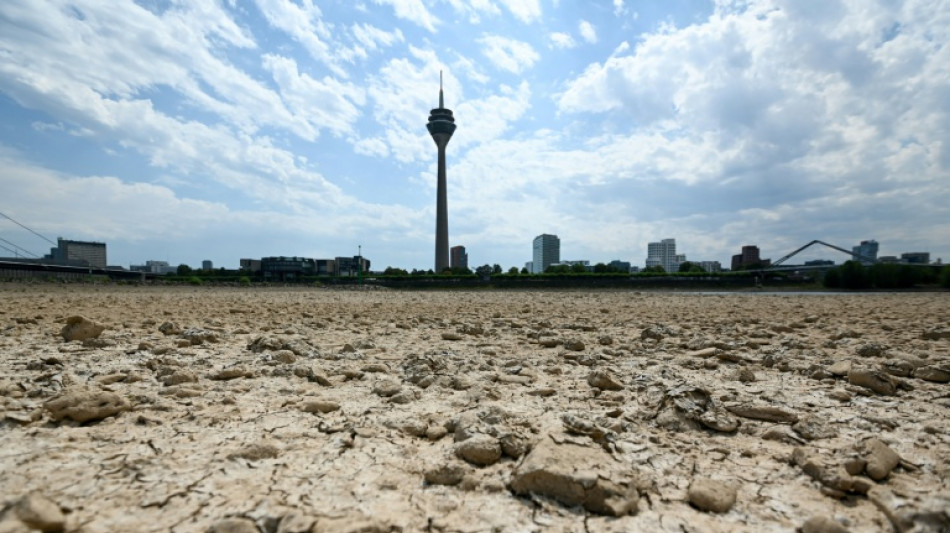 Wetterdienst: Wom&ouml;glich zweitw&auml;rmster Sommer seit Messbeginn in Deutschland