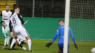 3. Liga: Elversberg weiter souverän - Sieg für FCS